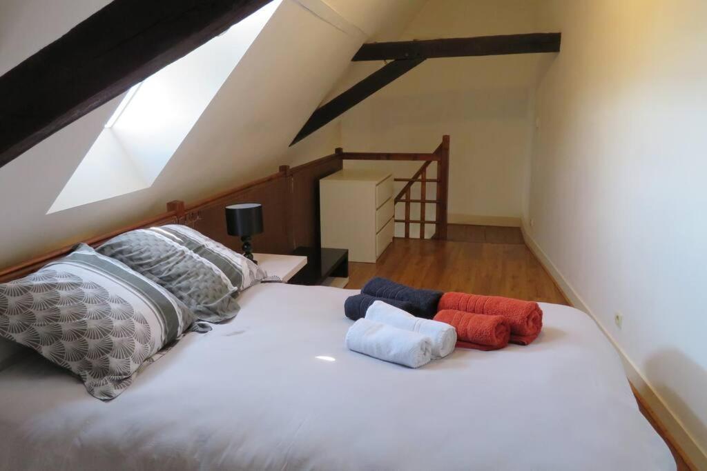 Loft De 53 M2 Centre Ville Blois,Tv Eksteriør bilde